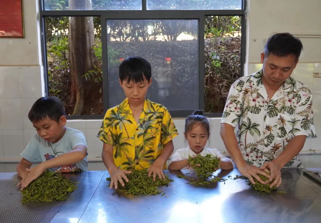 普洱思茅：茶韵咖香交织 助力产业升级(图6)