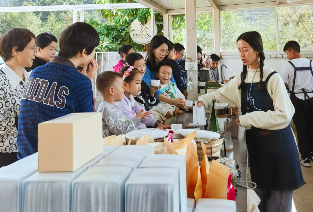 普洱思茅：茶韵咖香交织 助力产业升级(图12)