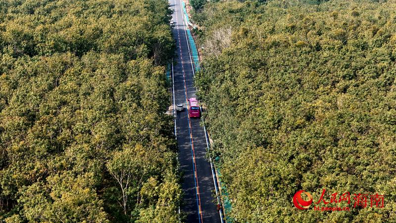 海南环热带雨林国家公园旅游公路正式通车(图1)